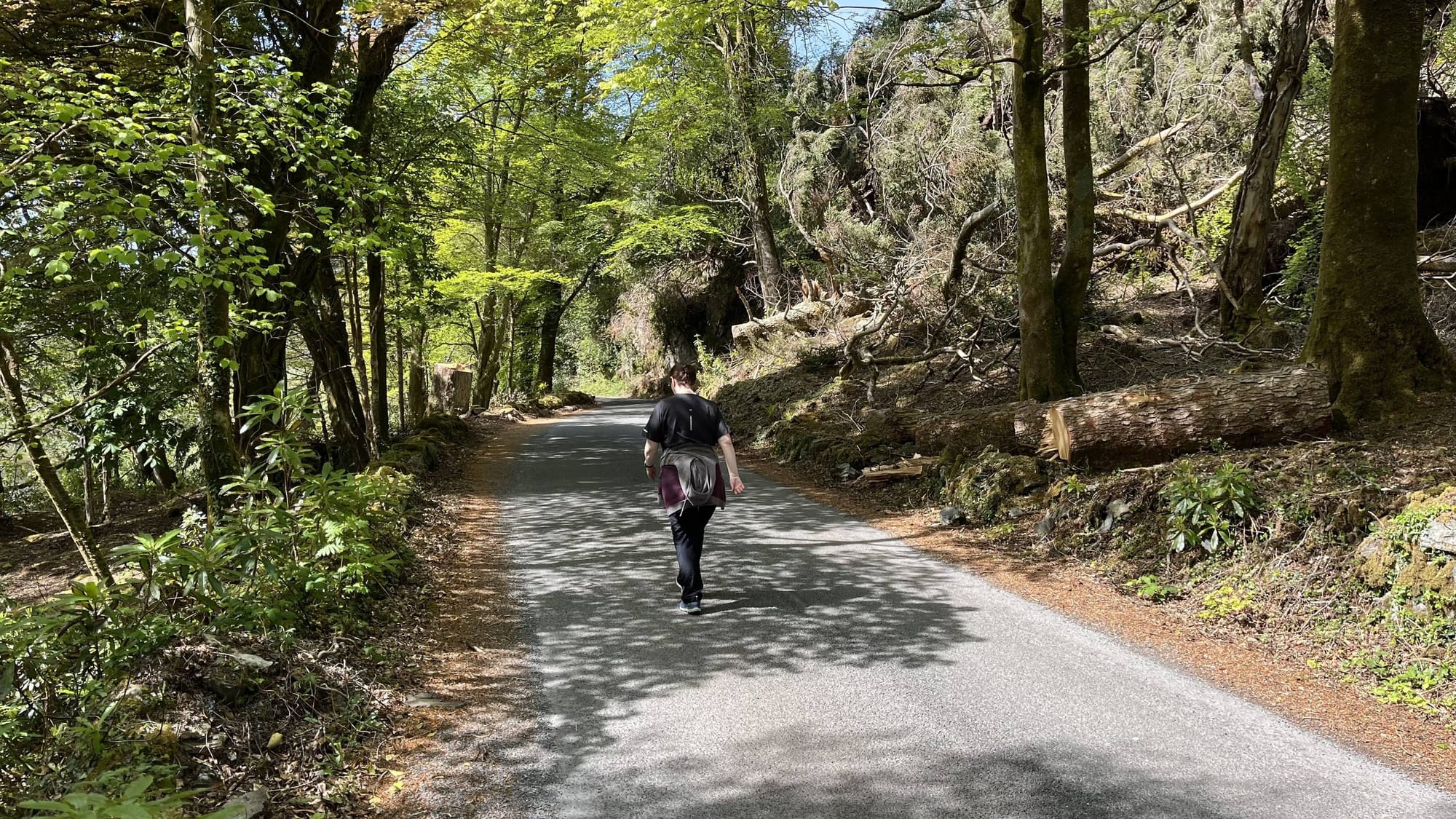 First weekend with 911 Targa 4 GTS