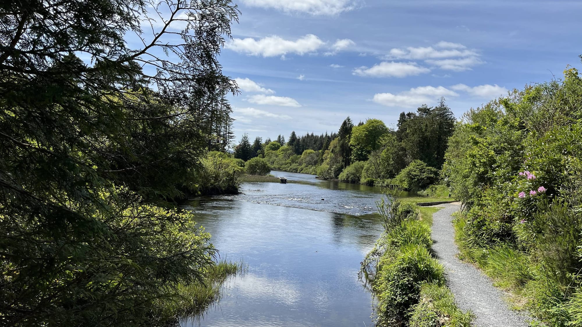 First weekend with 911 Targa 4 GTS