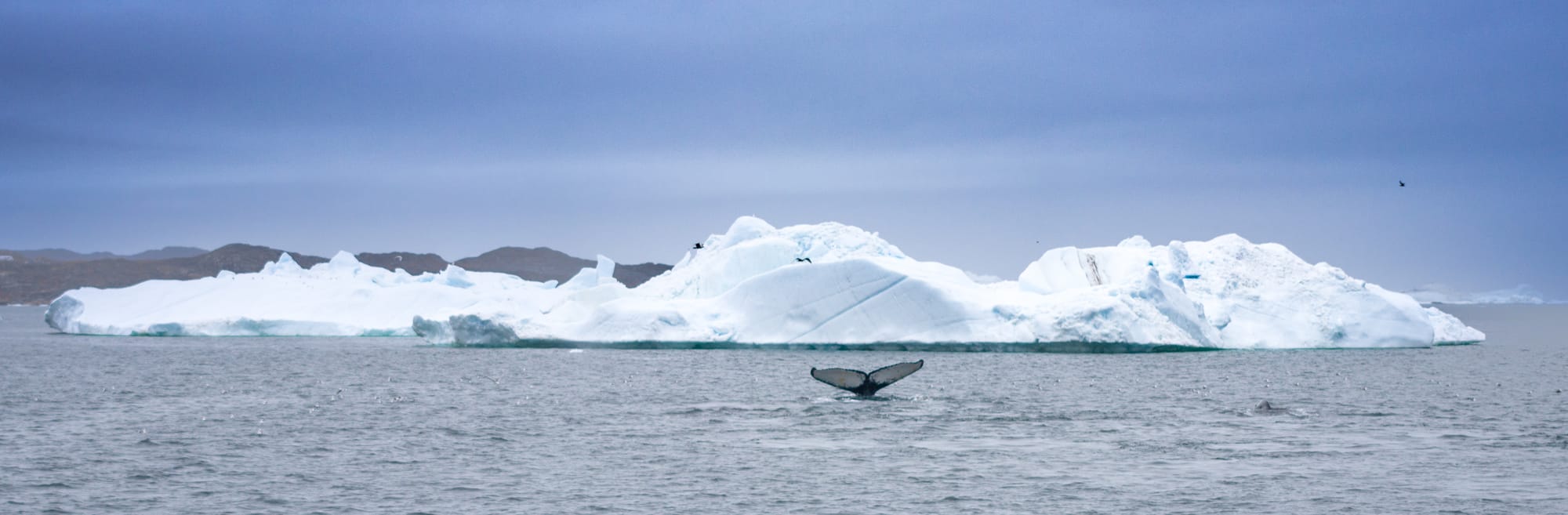 Greenland / Summer 2025