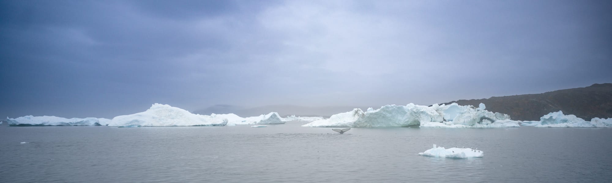 Greenland / Summer 2025