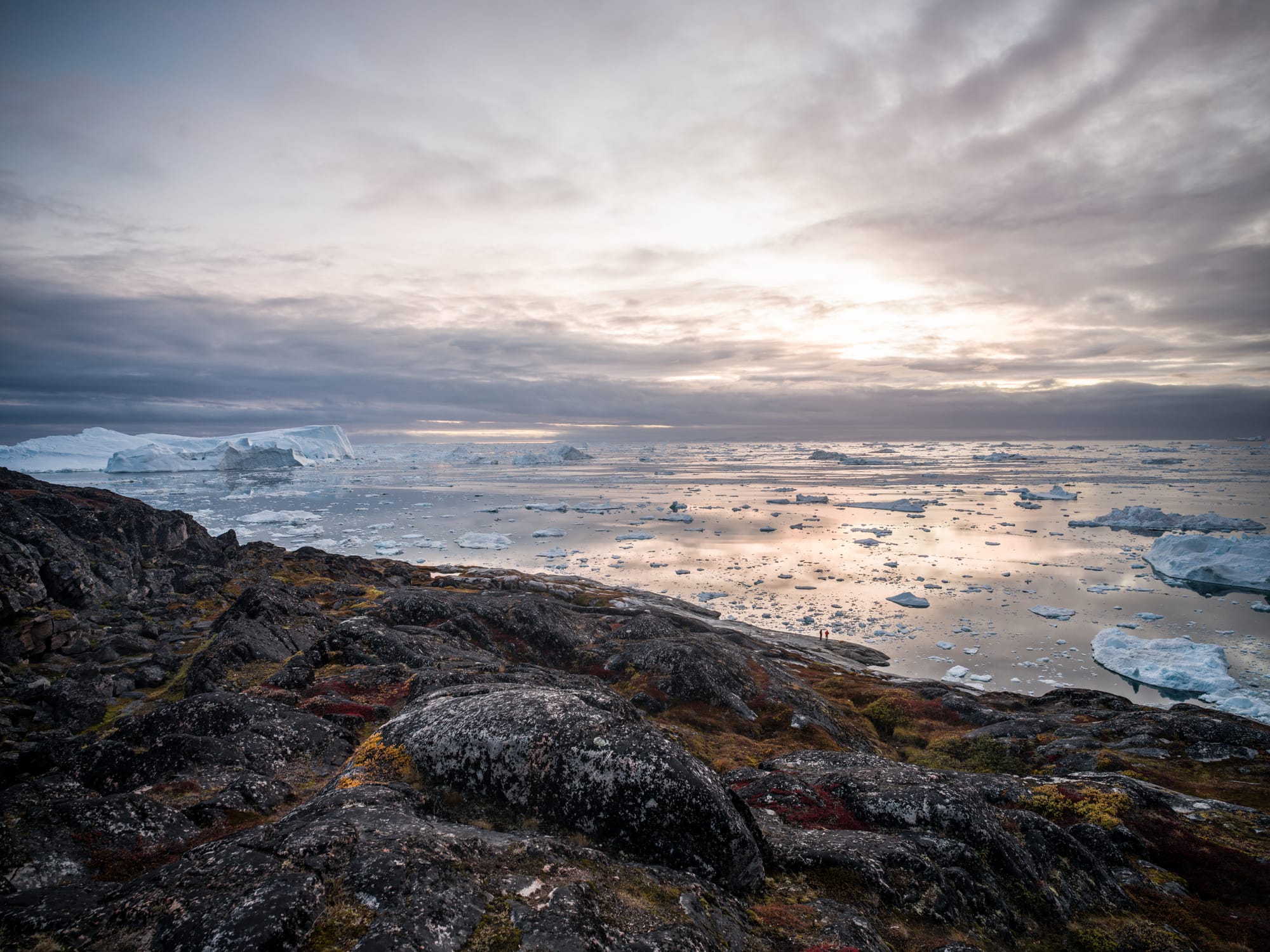 Greenland / Summer 2025