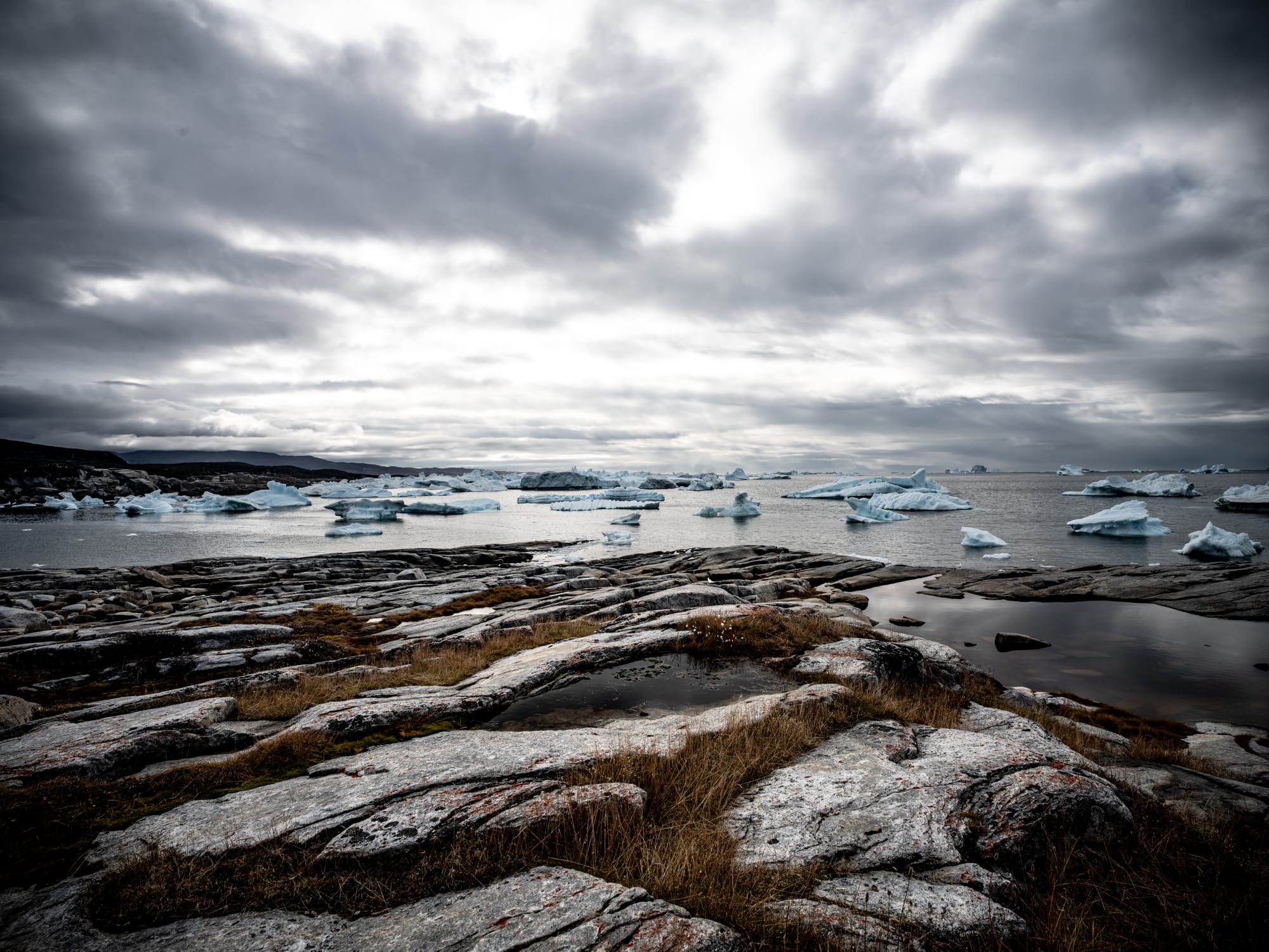 Greenland / Summer 2025