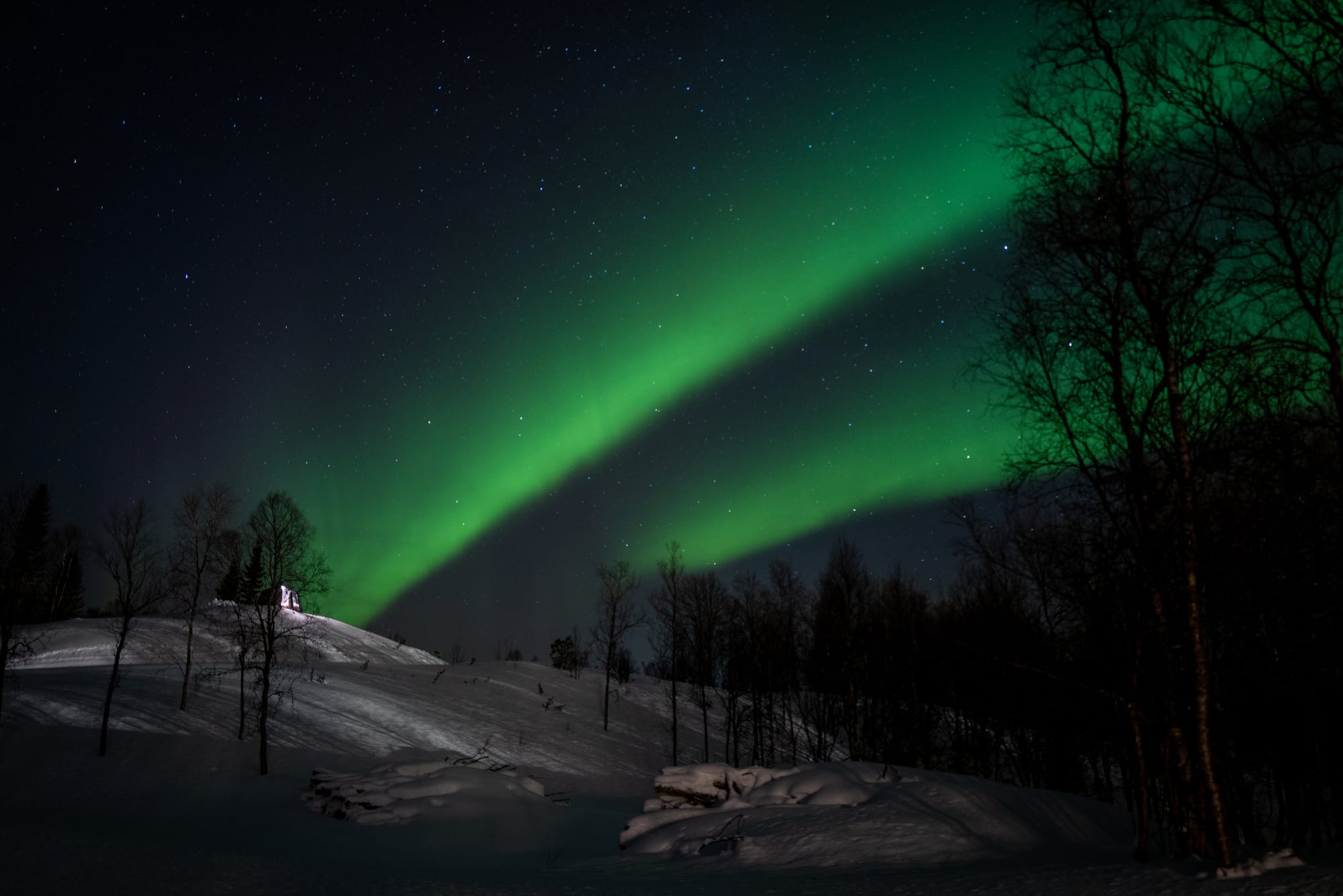 The Northern Lights / Aurora Borealis