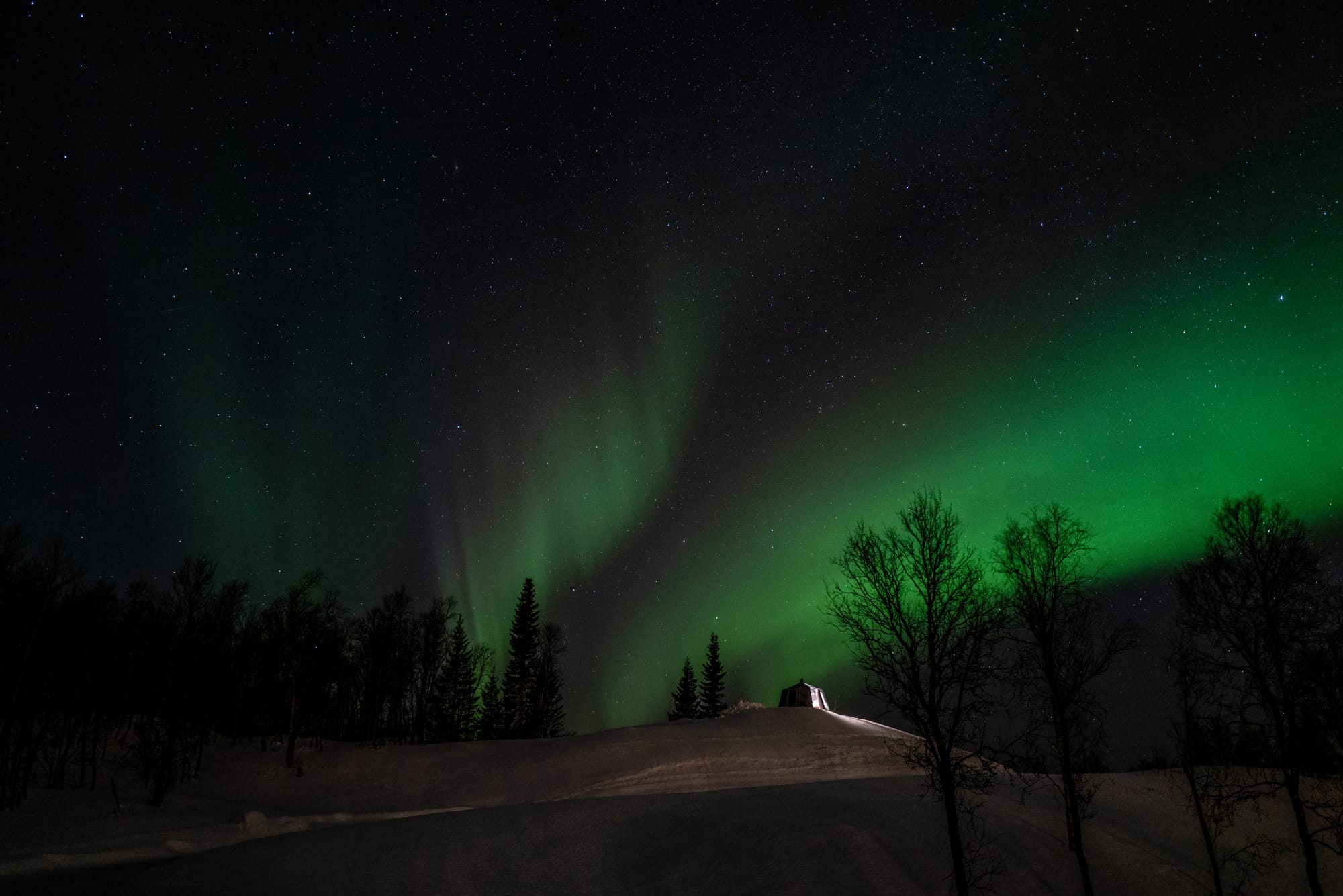 The Northern Lights / Aurora Borealis