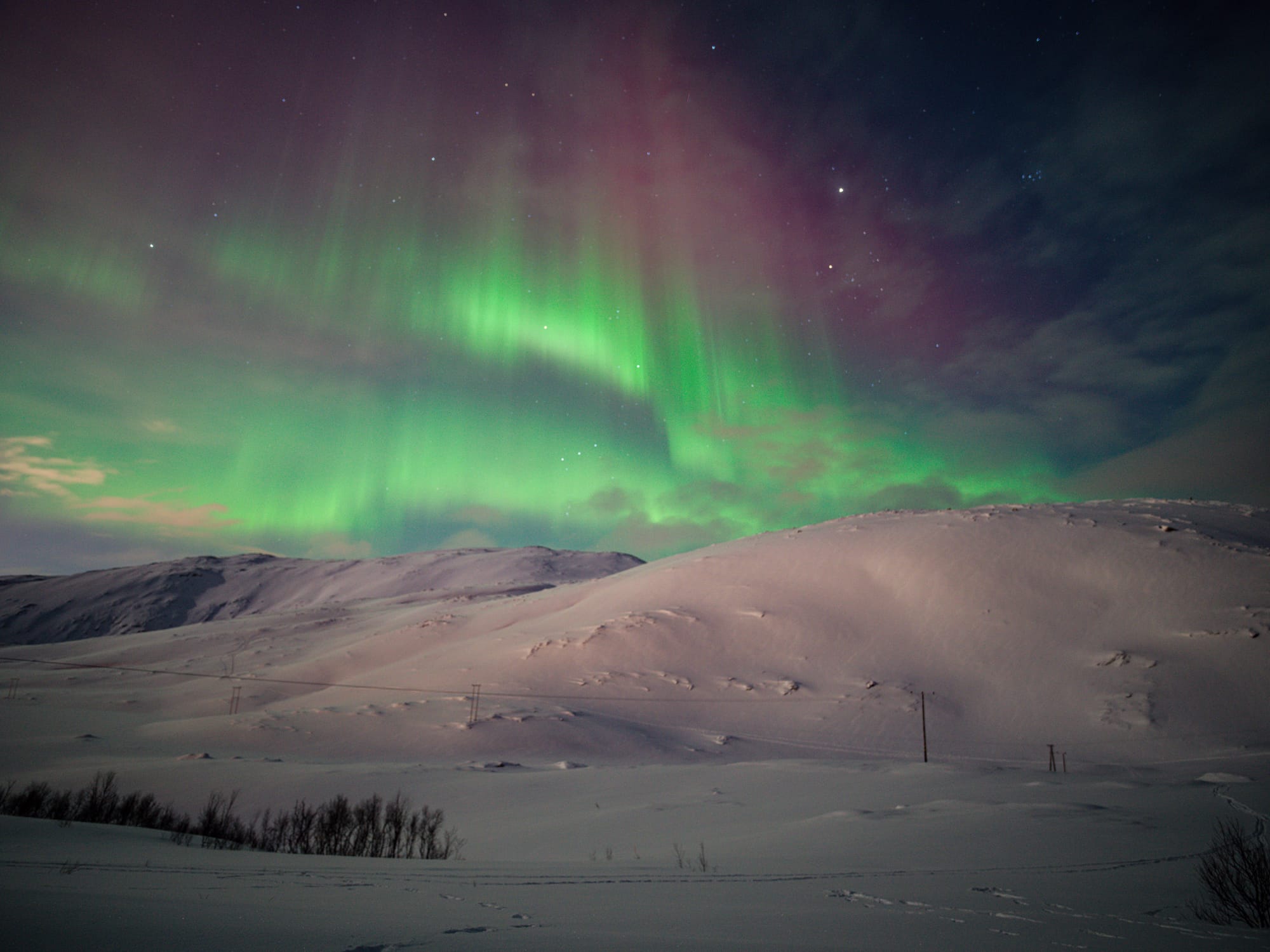 The Northern Lights / Aurora Borealis