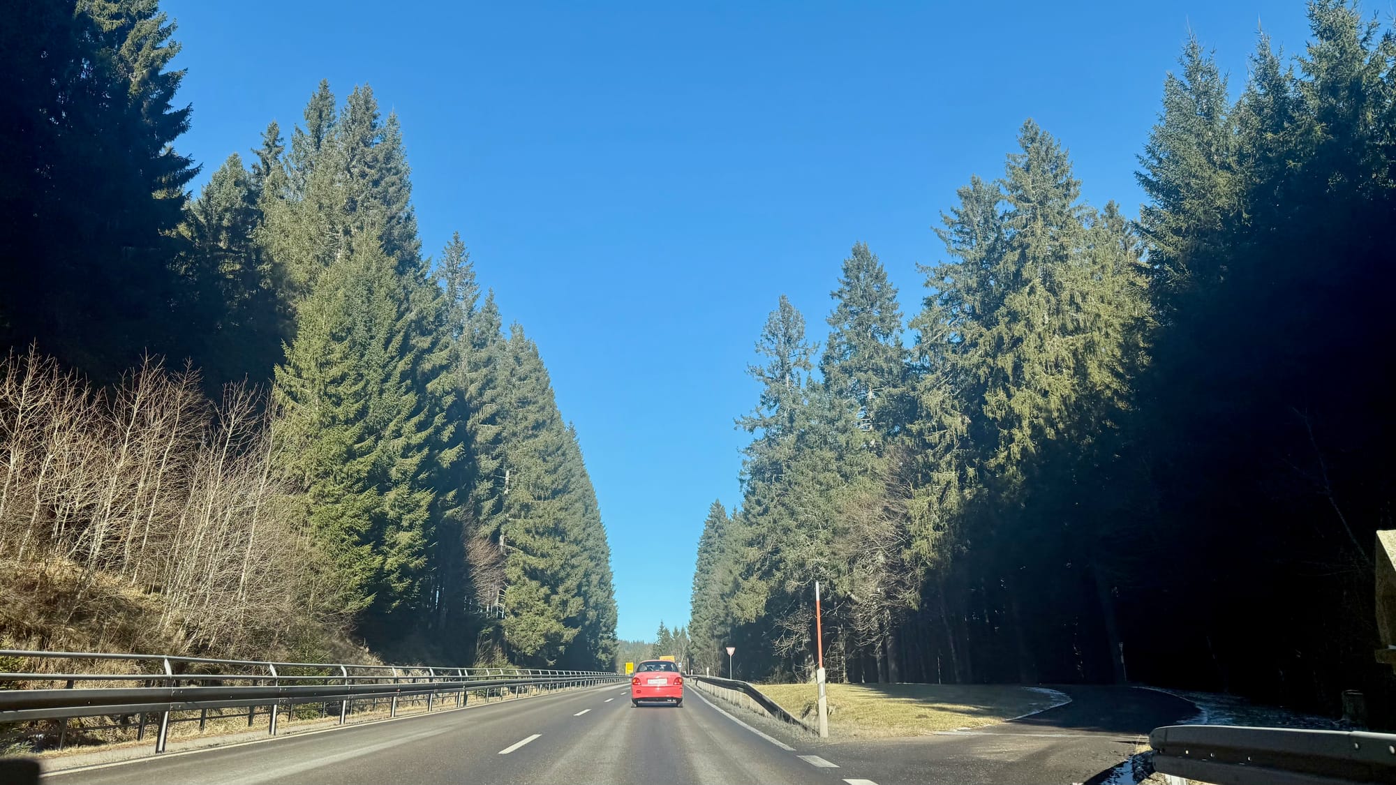 Entering the Black Forest