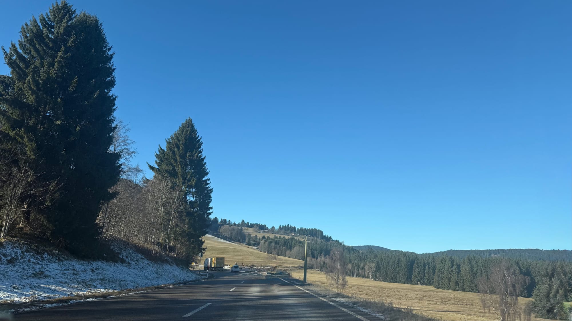 Entering the Black Forest