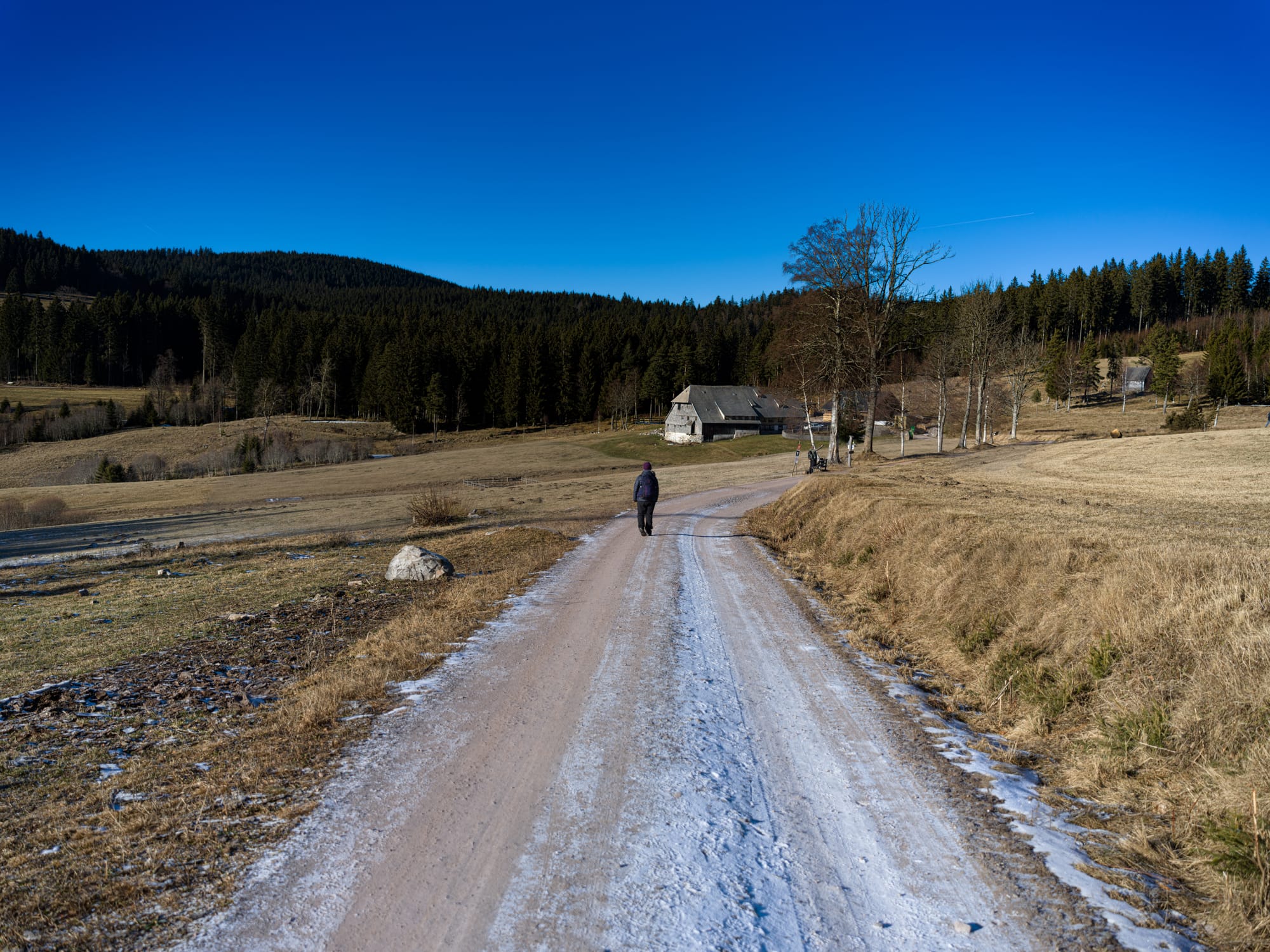 Clearing in the forest