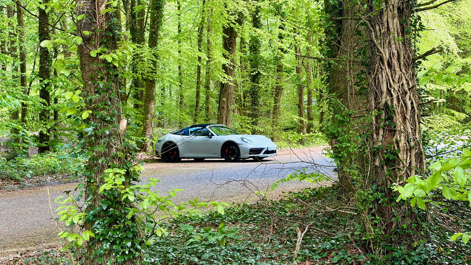 Exploring forests