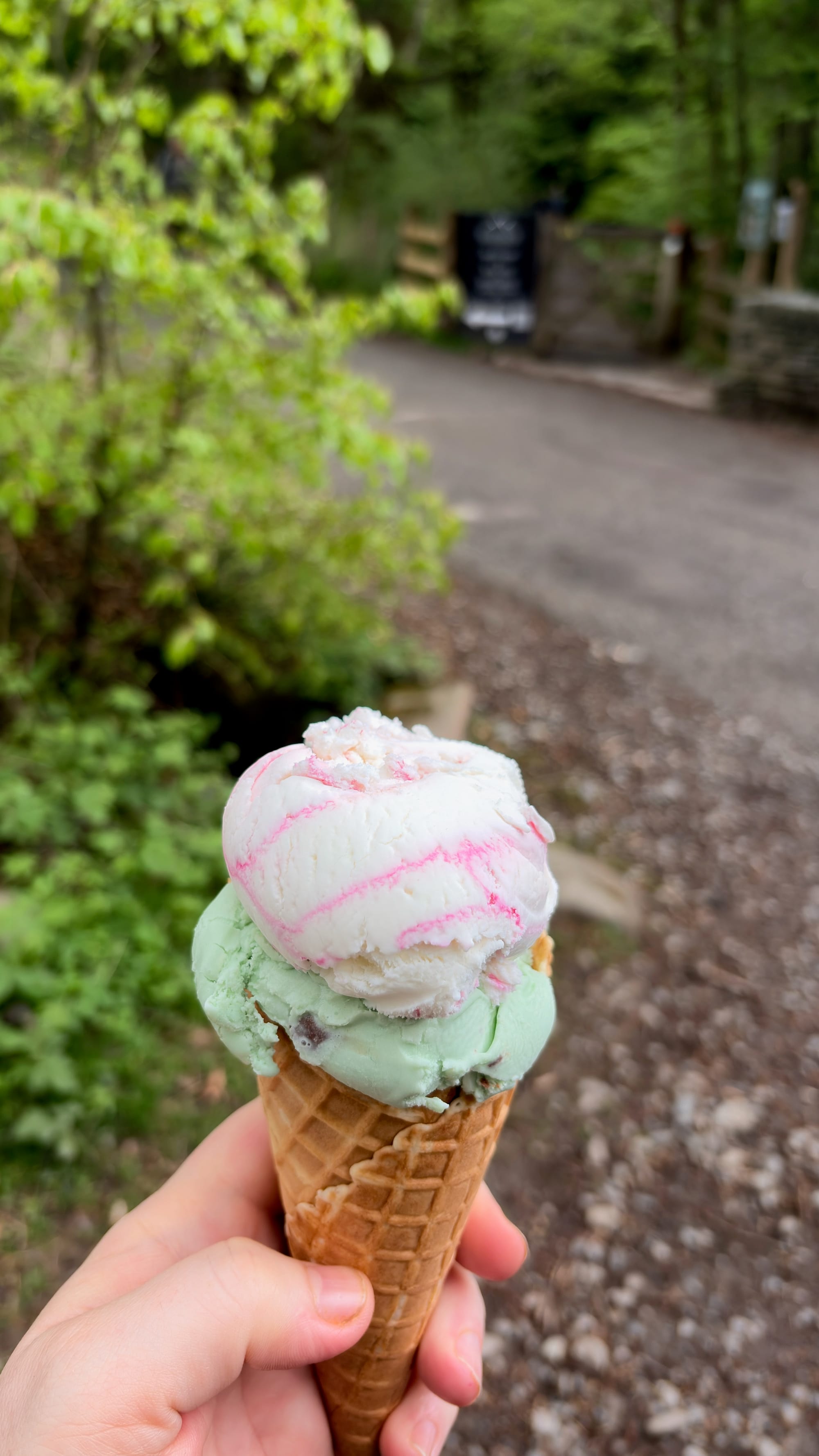 Local ice cream