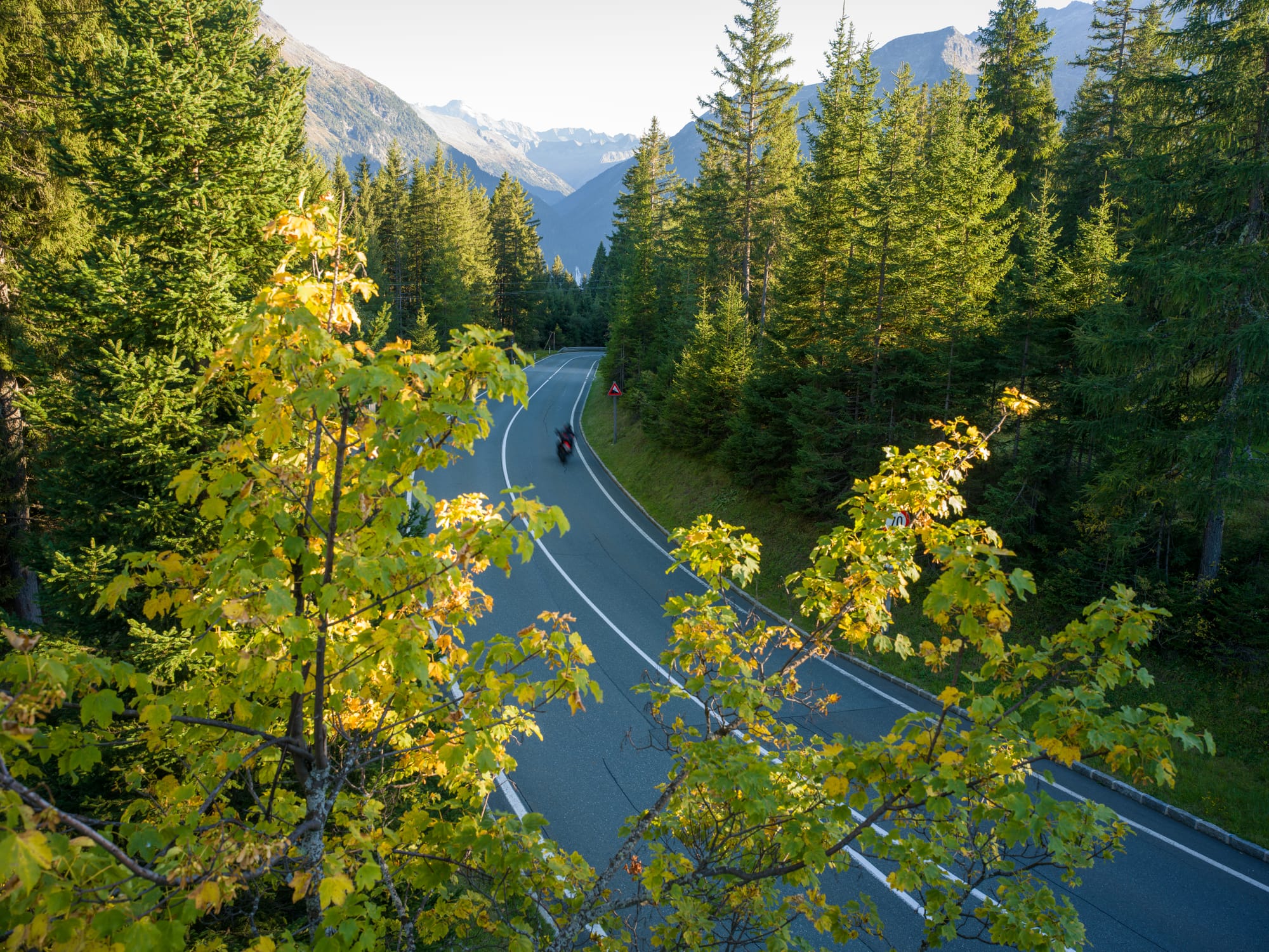 View of the road from the observation tower
