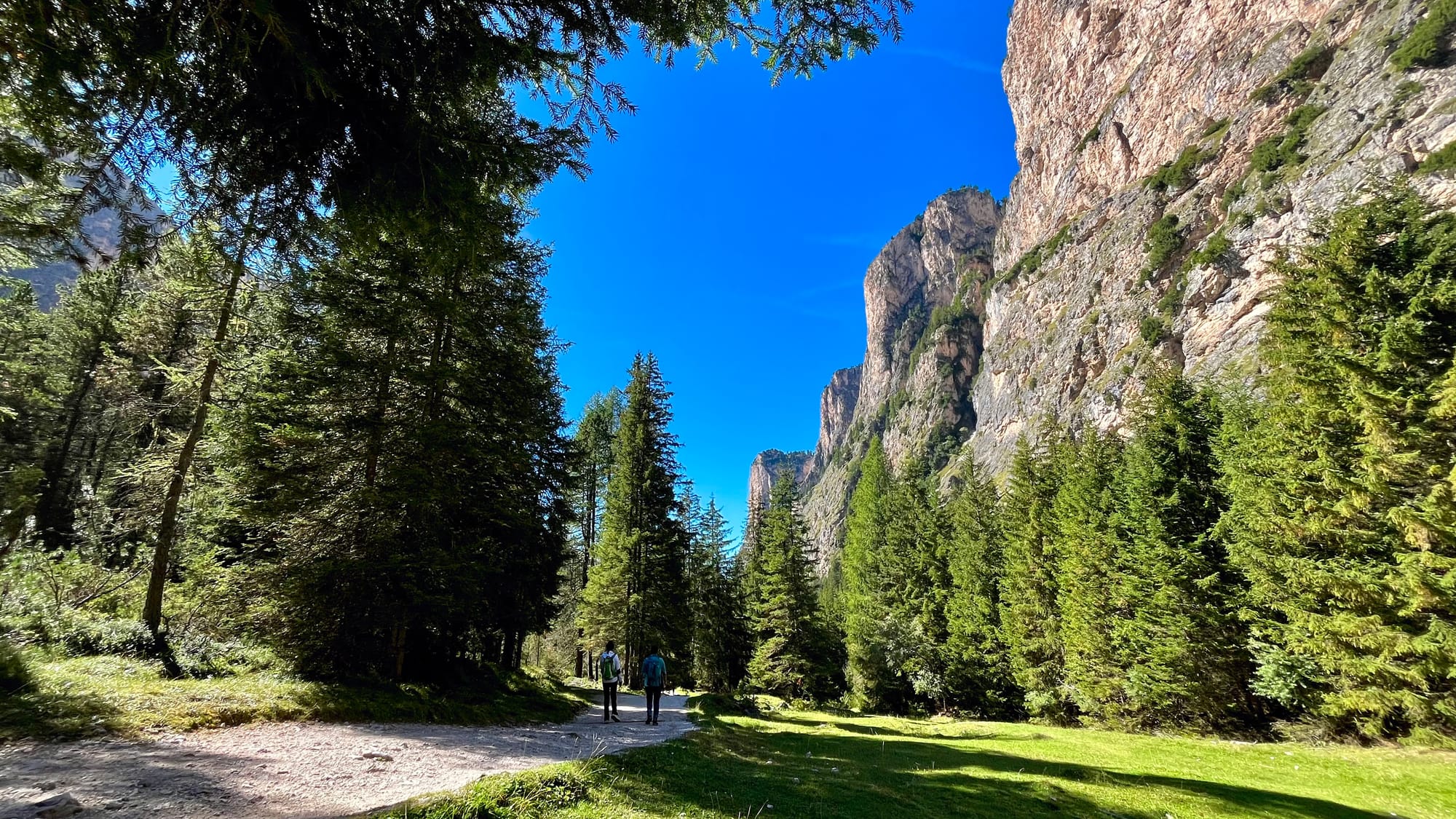 Walking among the trees and the mountains