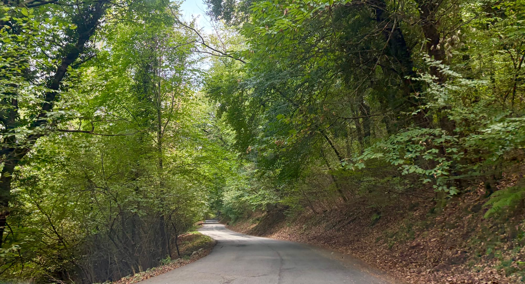 Forest road on the way to Lake Lugano