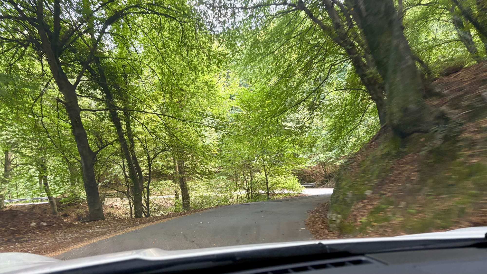 Forest road on the way to Lake Lugano
