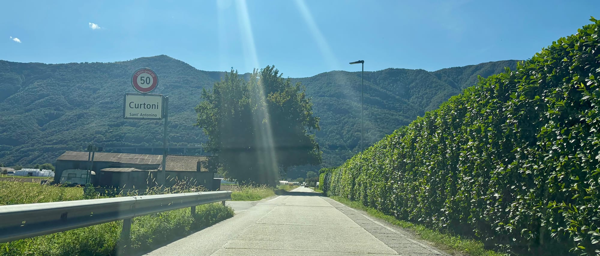Passing through some Swiss vineyards