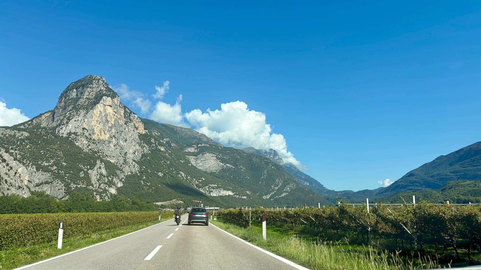 Passing Italian apple orchards