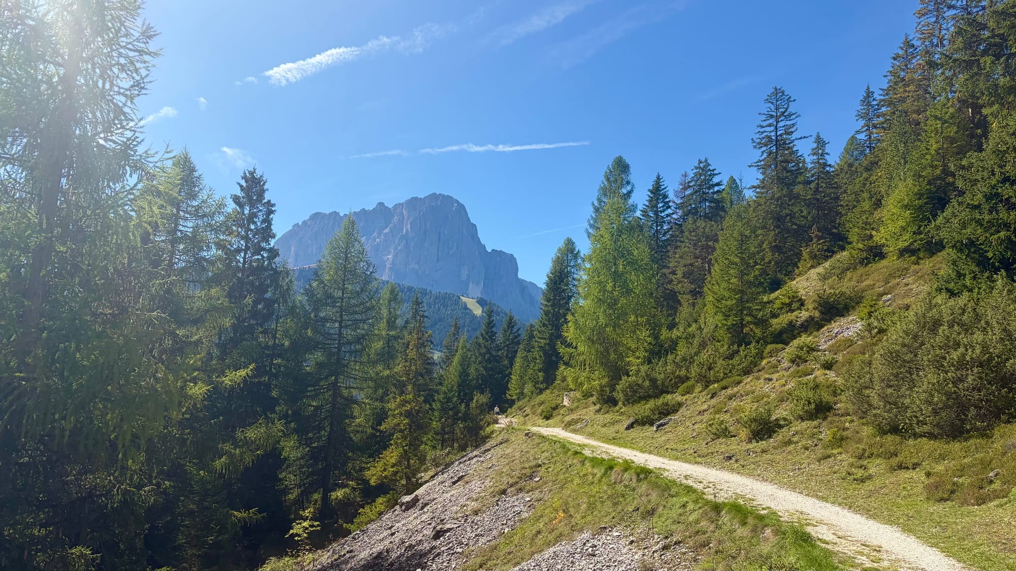 Hiking our trail
