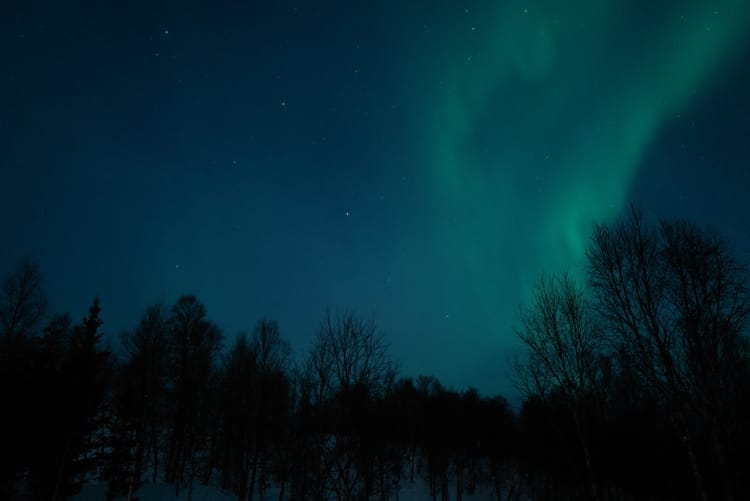 The Northern Lights / Aurora Borealis