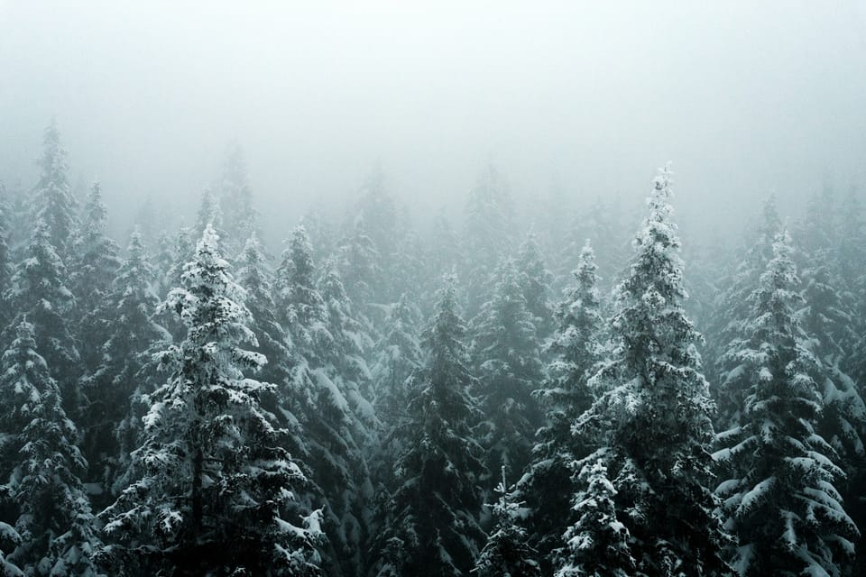 Targa to the Black Forest, Germany / Christmas 2025